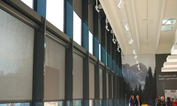 Service & Engineering